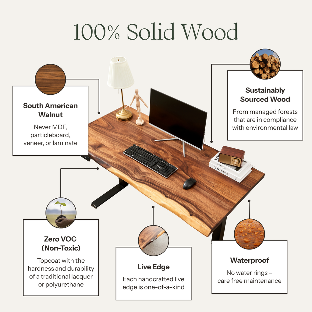 EarthyGrain Motorized Adjustable Standing Desk - White Frame & Live Edge Walnut