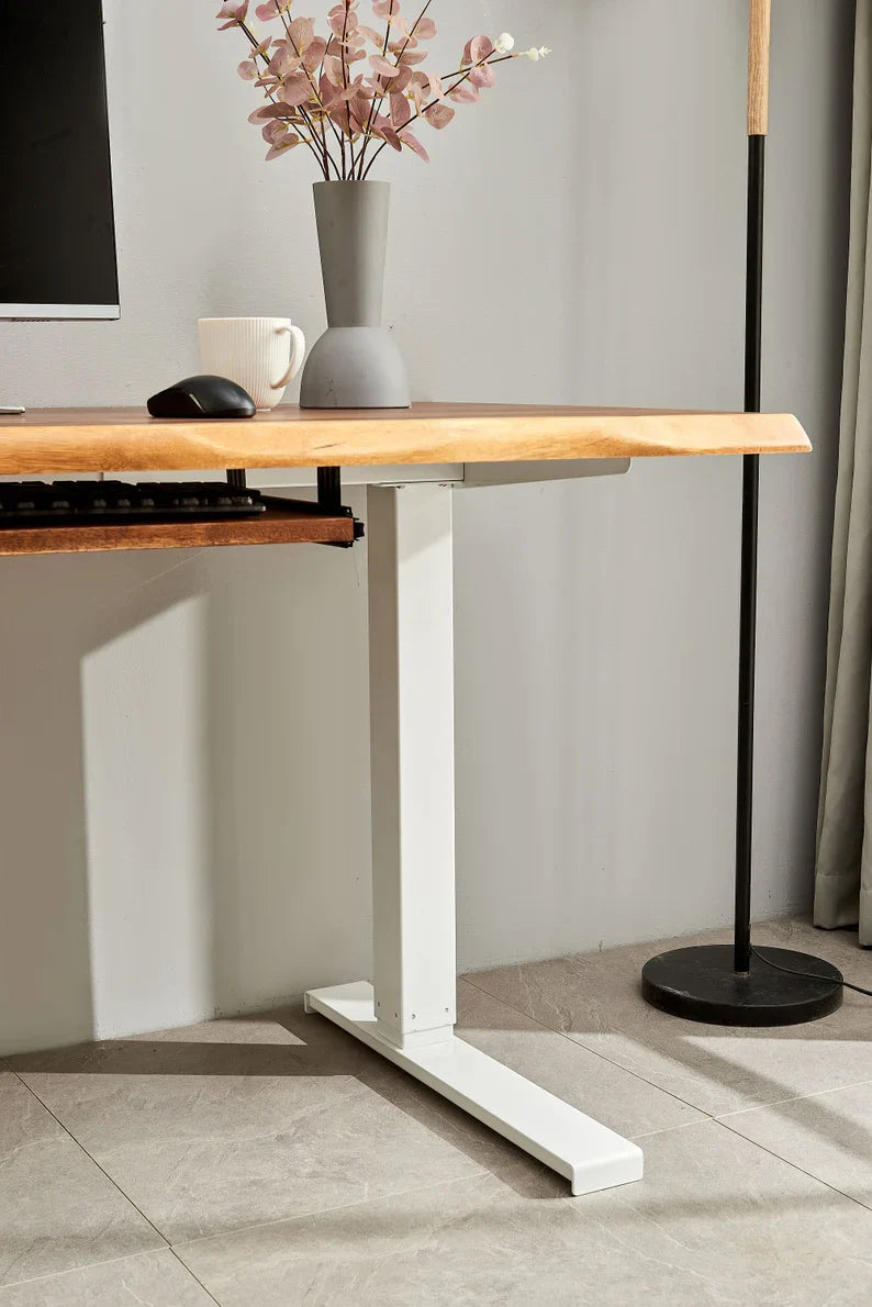 EarthyGrain Motorized Adjustable Standing Desk - White Frame & Live Edge Walnut